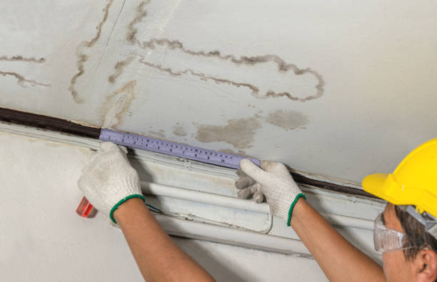 Reliable Mold Remediation contractor in Southmont, NC by Water Damage Irwin